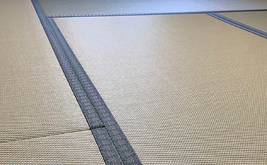 写真：203号室 きく